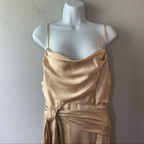 Fame and Partners Anita Draped Dress in Champagne - Picture 7 of 11